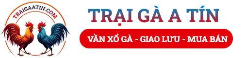 Trại Gà A Tín